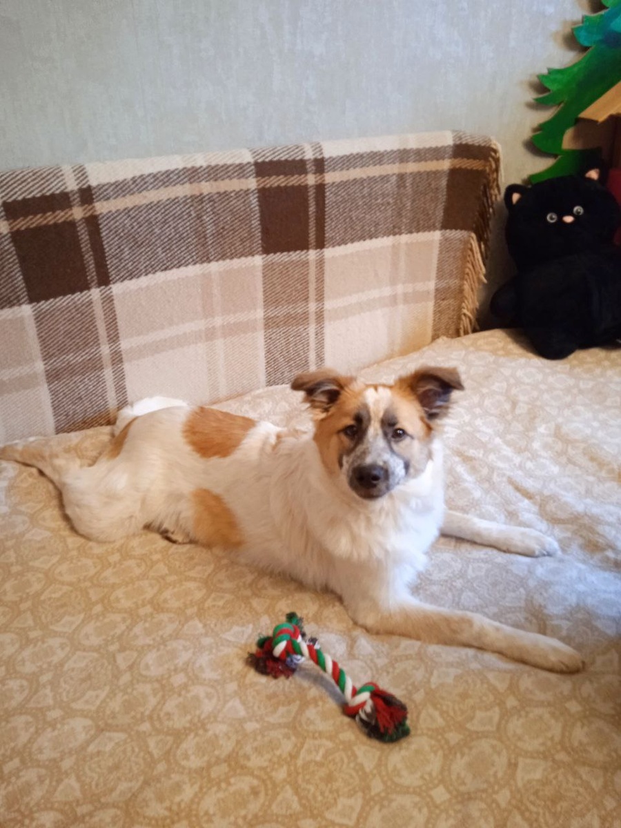 Угра, которая дома!