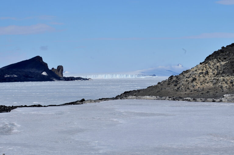    Фото: wiki commons/US Embassy New Zealand/public domain Анастасия Болигузова