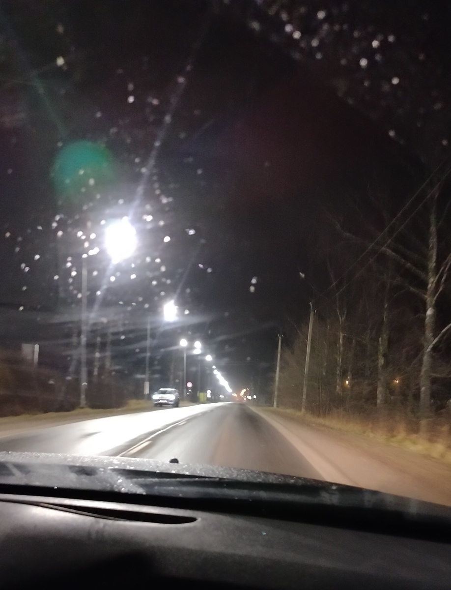 Качество фото оставляет желать лучшего, но видно, что обочины сухие и без признаков присутствия зимы