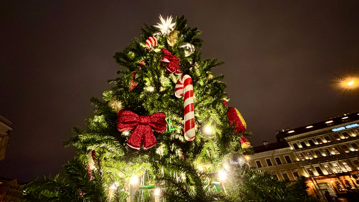 Новогодняя ярмарка на Дворцовой площади находится ближе к Певческому мосту. На территории ярмарки своя отдельная ёлочка 