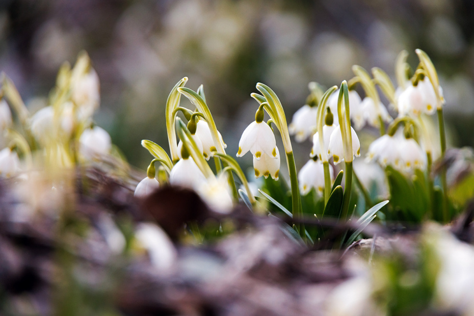    Sergey Elagin/Business Online/Global Look Press