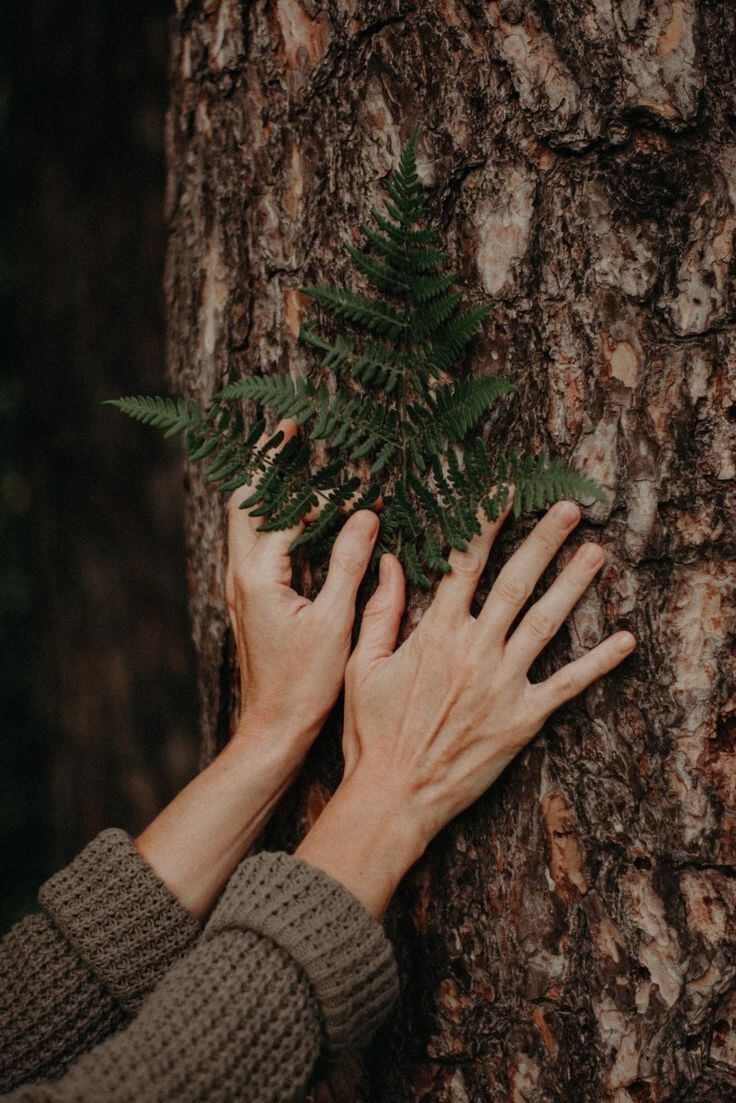 Фото из Интернета 