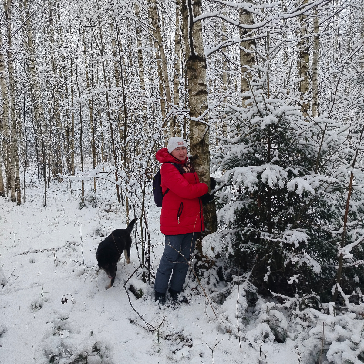 Мы с Дикусей облюбовали одну березку для фото.