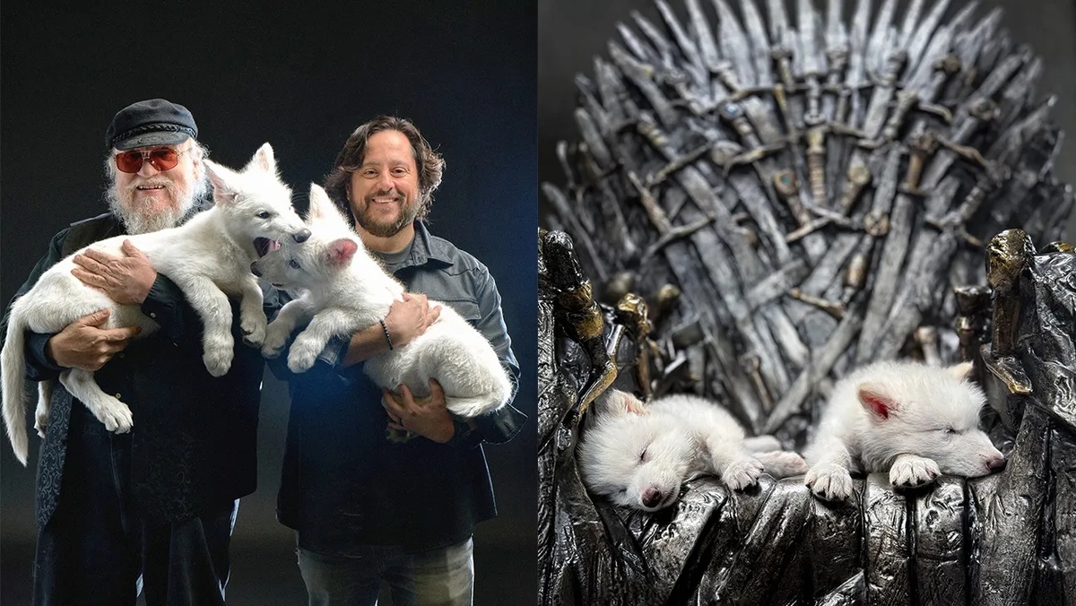 Уран в Тельце дал огромный толчок сфере развития технологий в области биологии. Один из ярких примеров - в в первой половине 2025 года компания Colossal Biosciences воссоздала троих щенков, генетически близких к вымершему виду Лютоволка, их назвали Ромул, Рем и Кхалиси. Эти хищники обитали в Северной и Южной Америке и исчезли около 12 тысяч лет назад. Ужасные волки были крупнее и мощнее современных серых волков: их рацион состоял преимущественно из бизонов и лошадей.