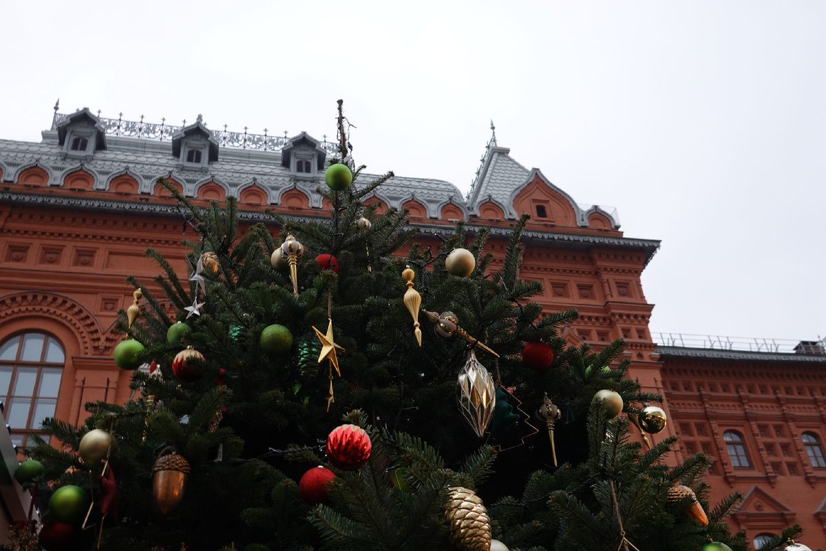 Елка на фоне здания Музея войны 1812 года