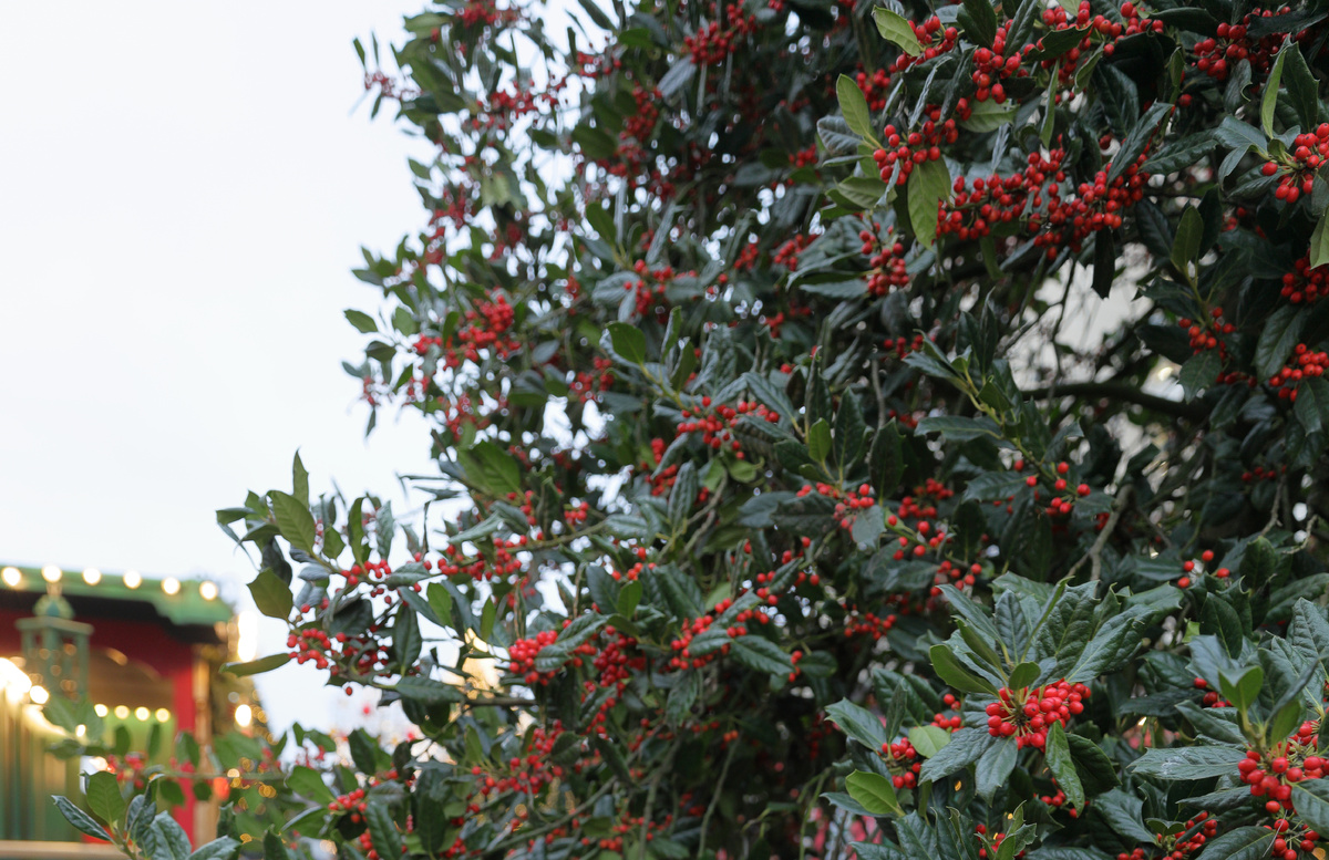 Не замерзнет на морозе?