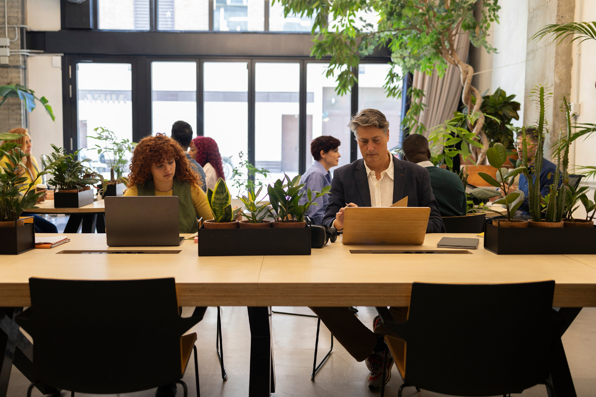 @Aida Lopez Jimenez/Shutterstock.com