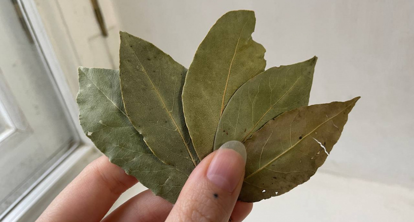    Автор фото - Анна Ефимова