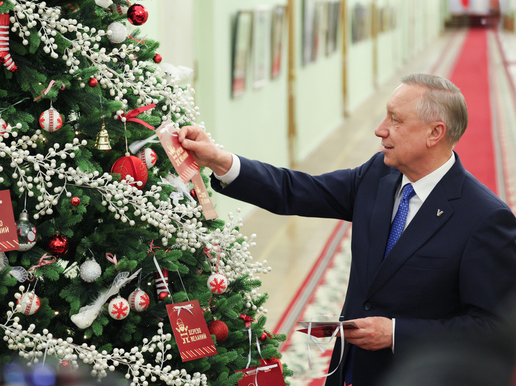     Фото: пресс-служба Смольного.