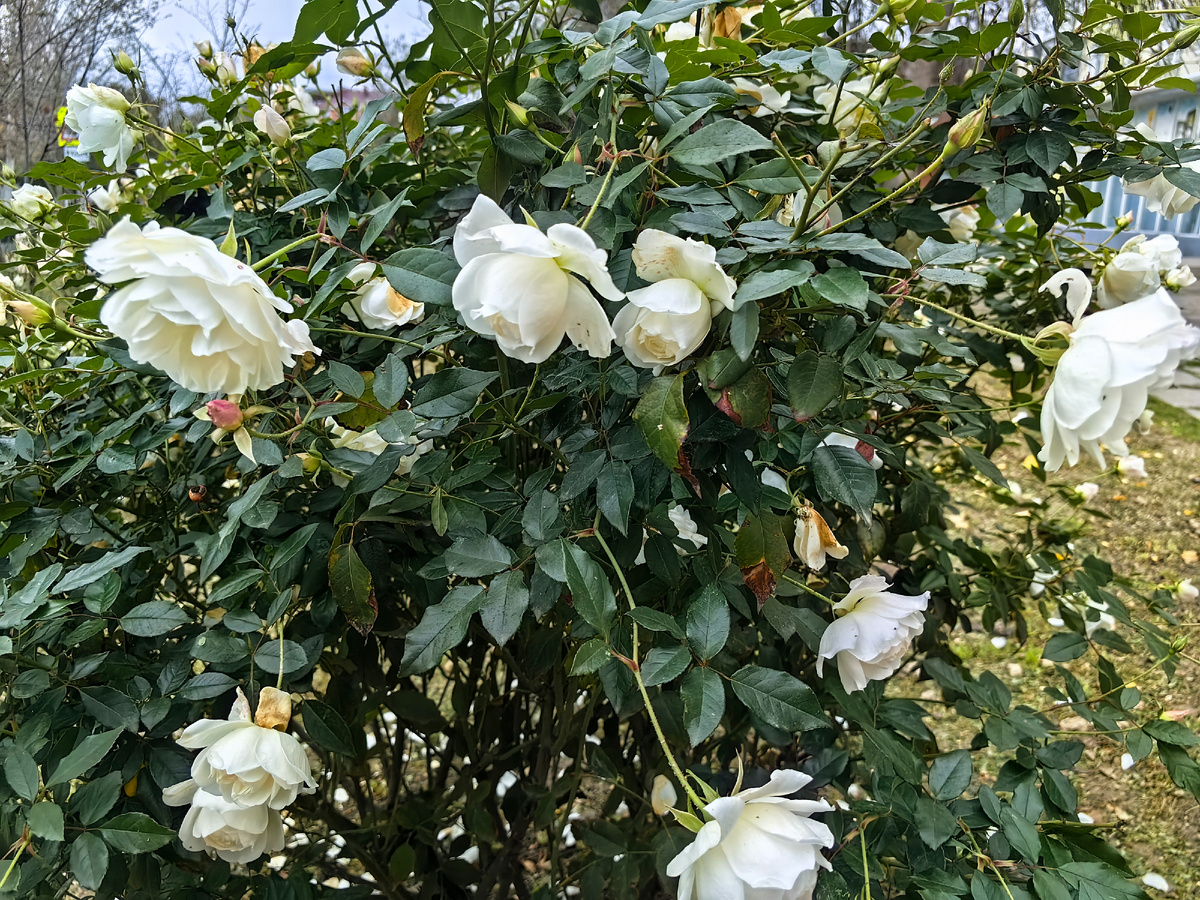 Фото автора канала