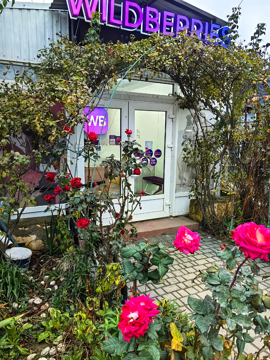 Фото автора канала