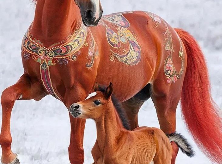 Обои с символом 2026 года