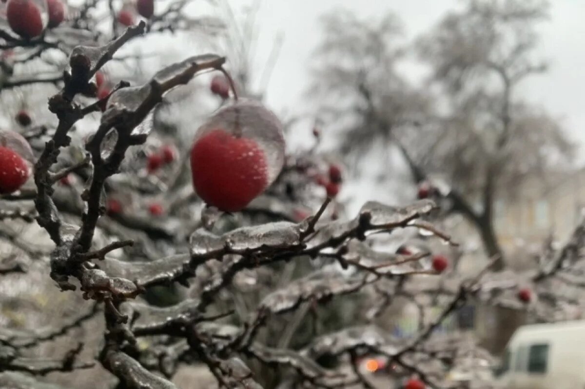    На Дону из-за гололедицы объявили желтый уровень погодной опасности