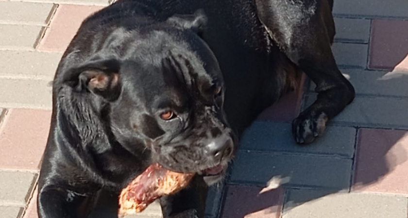    Фото irkutsk.news