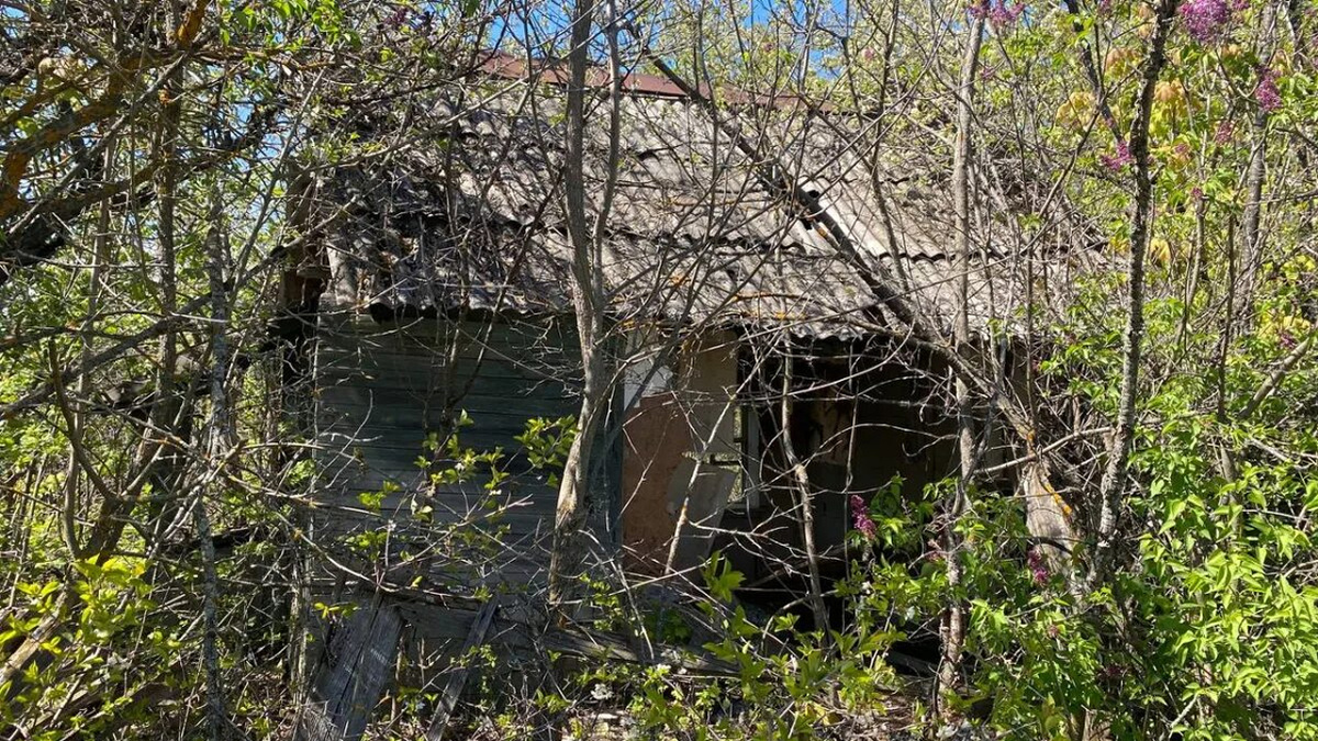 Забросил участок — потеряешь землю: в России запускают механизм изъятия недвижимости