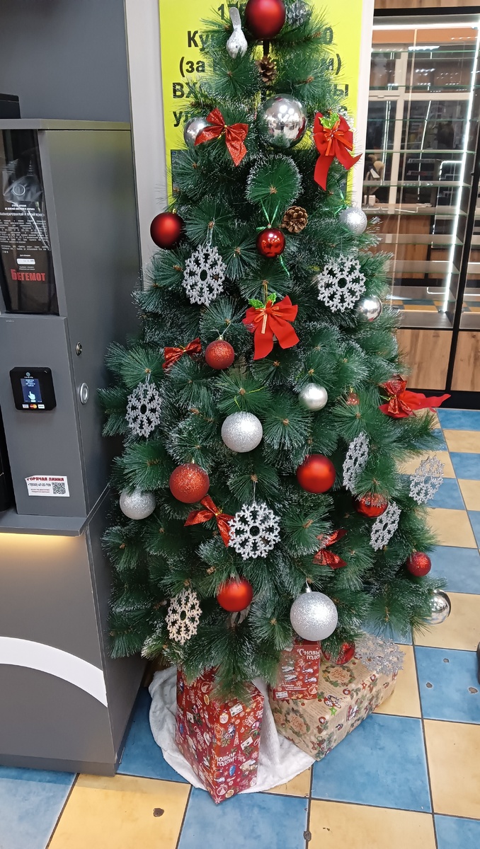 Фото автора 