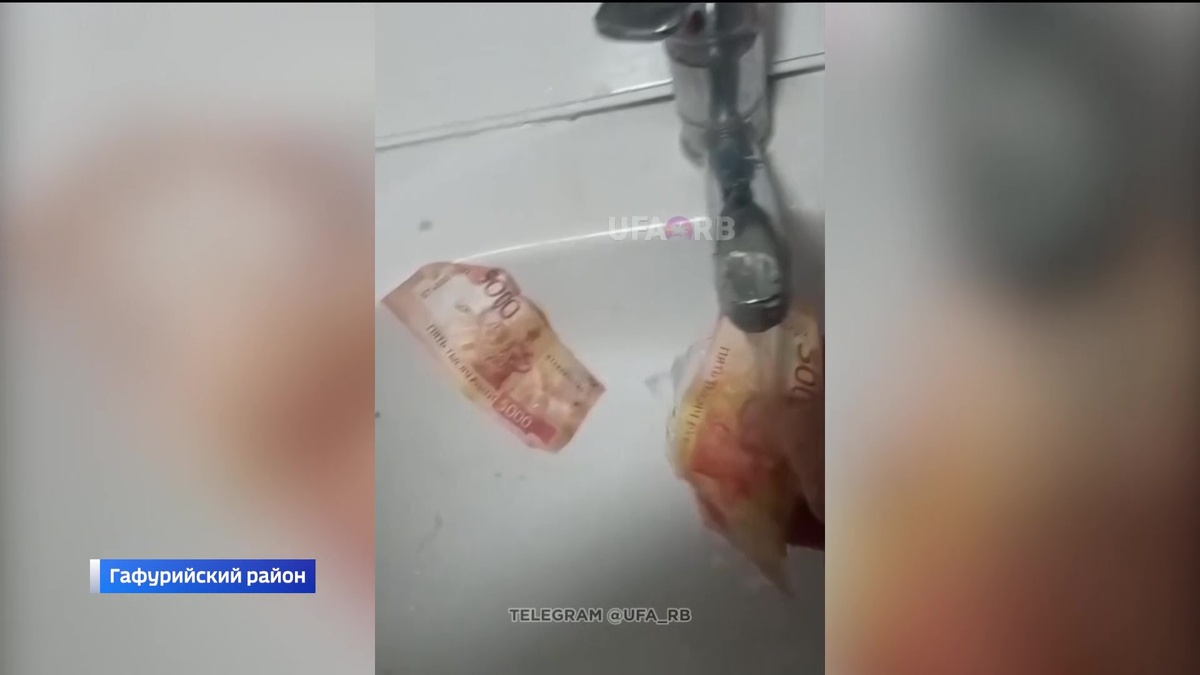    В Башкирии разыскали владельца кошелька, найденного в желудке коровы