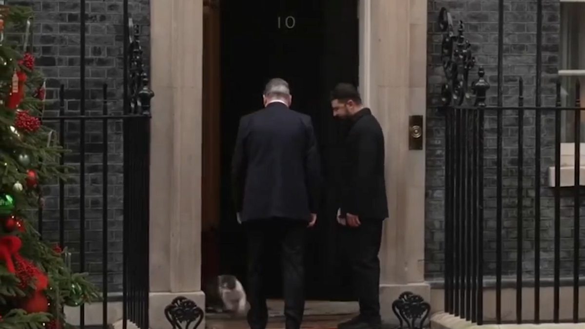    Фото: max.ru/shot