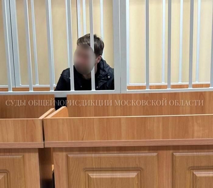    Суды общей юрисдикции Московской области