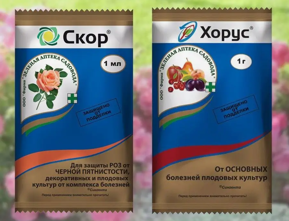 Источник фото: wildberries.ru