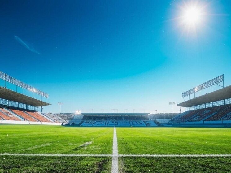     Фото: Нейросеть