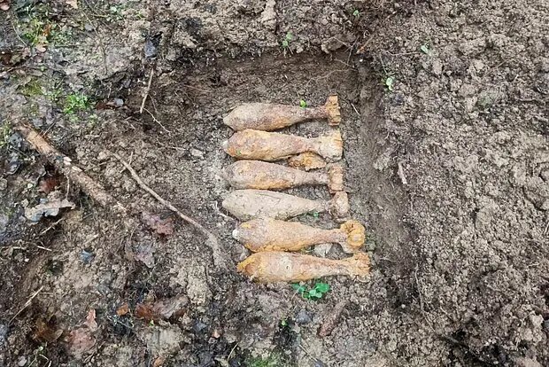    Фото: lenta.ru Мария Михайлова