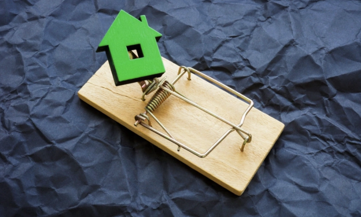 Фото: Vitalii Vodolazskyi / Shutterstock / FOTODOM