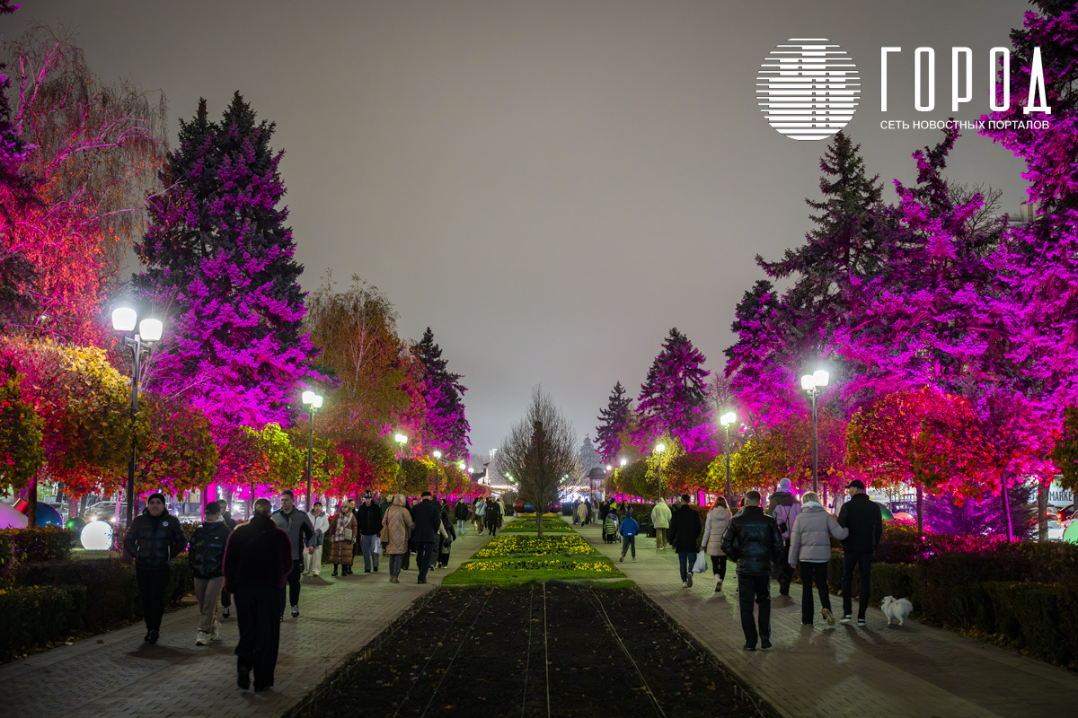 Деревья подсвечиваются разными цветами