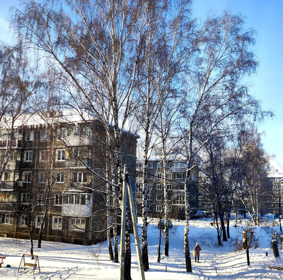 Сегодня солнечное и мороженое утро. Фото автора 