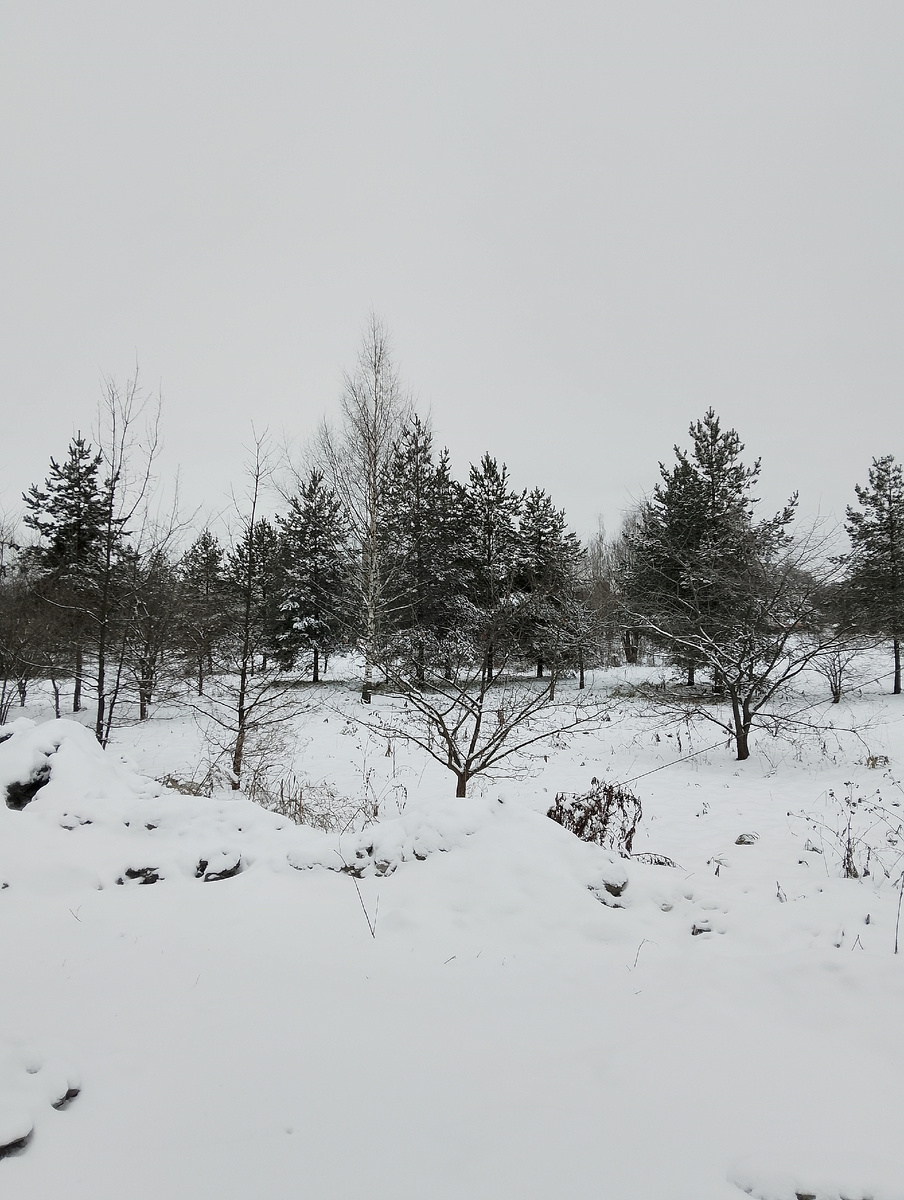 На дворе вчера было по-зимнему👍. Фото автора 