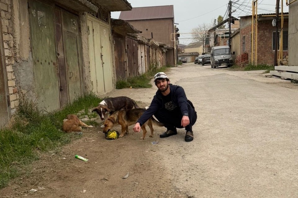    Хаскил часто кормит животных на улицах. Предоставлено героем публикации