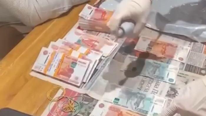 Обложка © Telegram / Питерский Следком