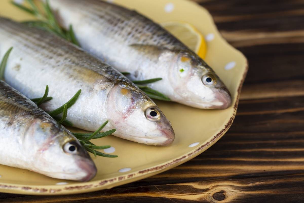 Фото freepik.com