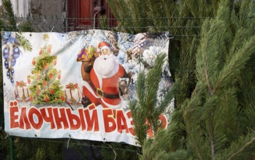    фото: архив ЗШ Редактор