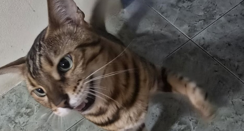    Фото Анастасии Дмитриевой