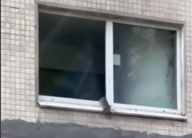 Скриншот: «Москва 125»