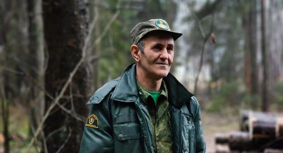 Фото с сайта ГАУ МО "Мособллес"