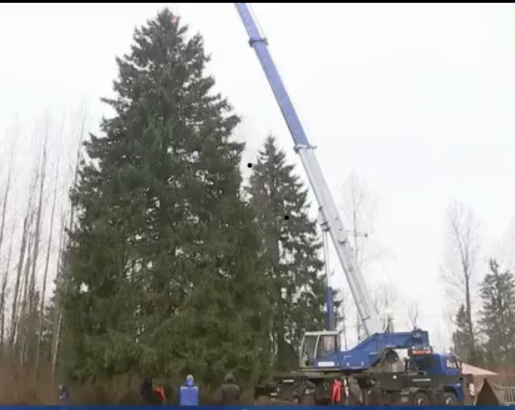 Вот она, главная кремлевская елочка! Скрин с сюжета 1 канала