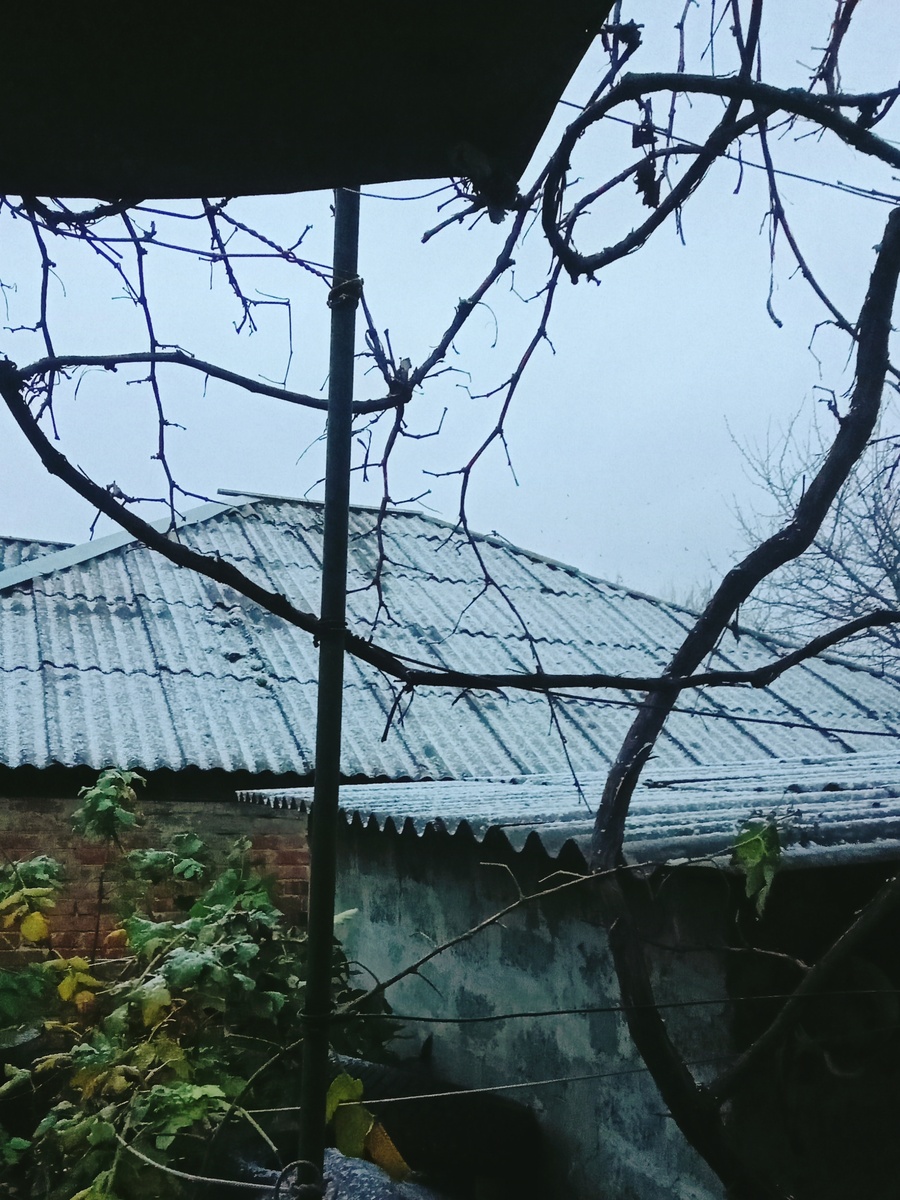 Крыша побелела