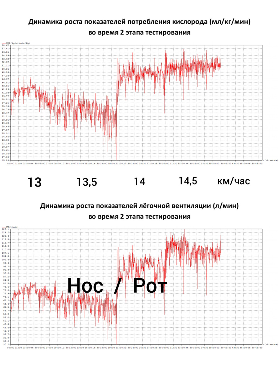 Тредмил тест, 40 минут.