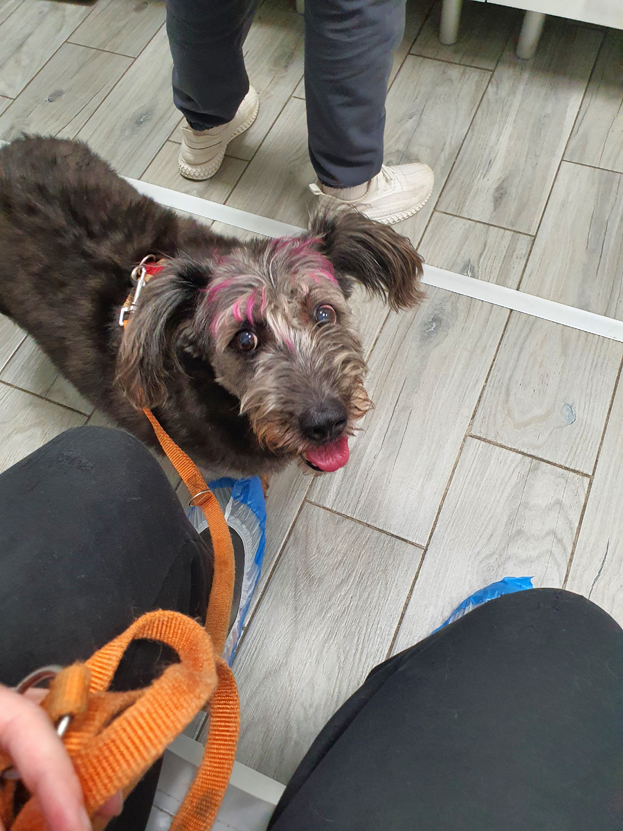 Руффик-пуффик моя