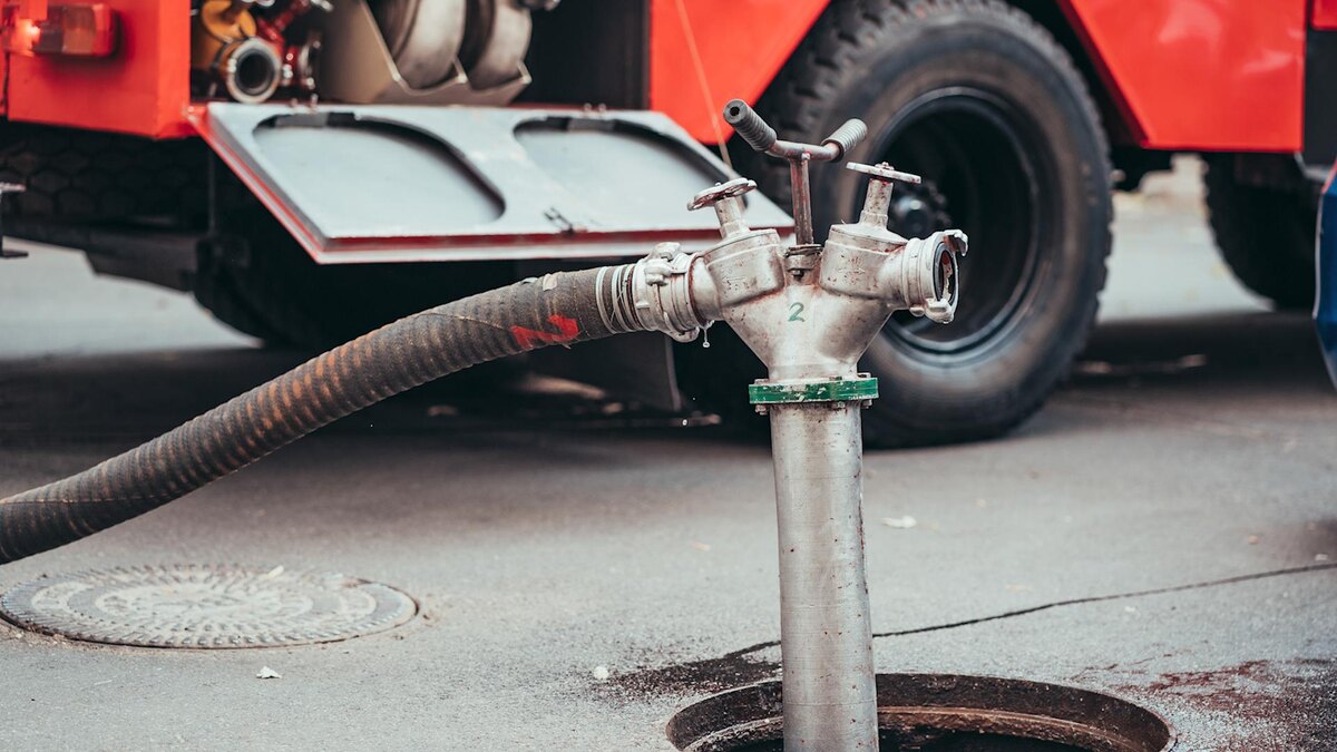    Фото: ru.freepik.com