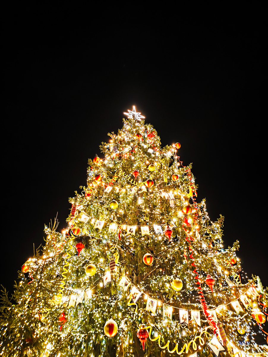 Фото из личного архива