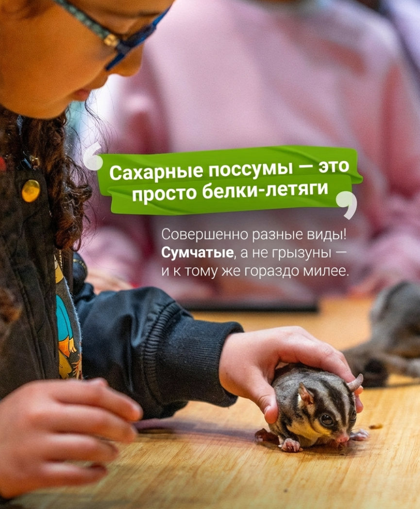 The Green Planet Dubai 2025: тропический лес под куполом в City Walk. Полный гид