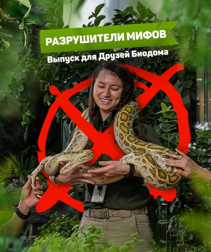 Где находится Green Planet и как добраться
Локация:

The Green Planet Dubai находится в районе City Walk, рядом с Al Wasl Road, в 10–15 минутах езды от Burj Khalifa / Dubai Mall. Официальный адрес: City Walk – Al Wasl – Dubai, UAE.