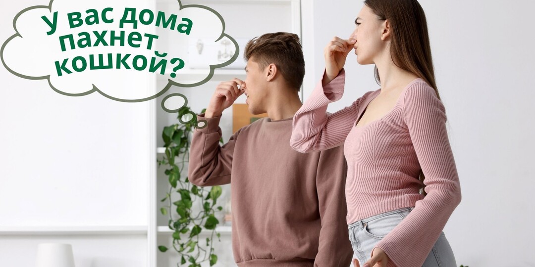 У вас дома пахнет кошкой? Это пахнет не ленью. Это пахнет страхом.