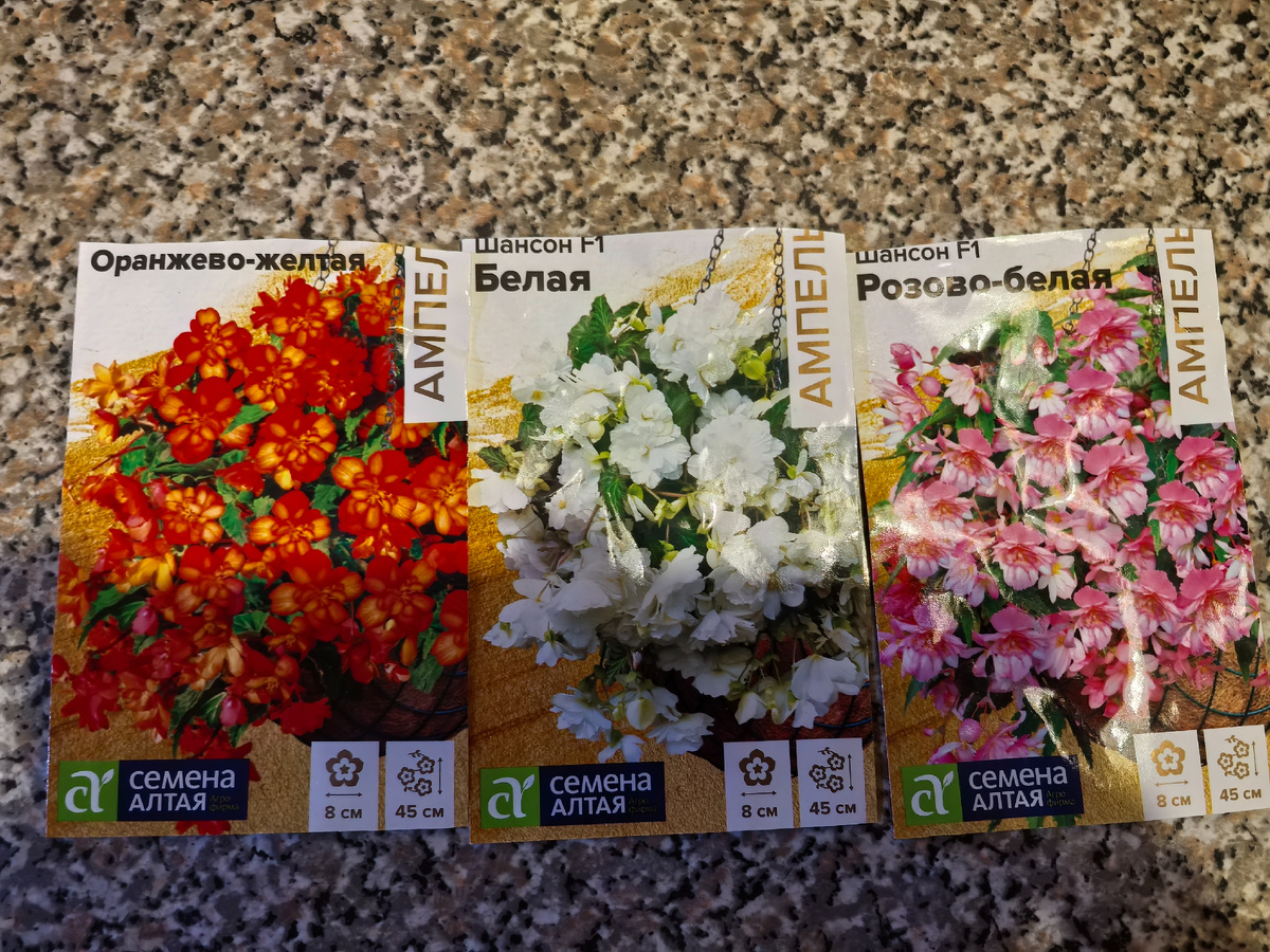 В сезоне 2025 сеяла бегонию от Поиска. Попробую Семена Алтая. 