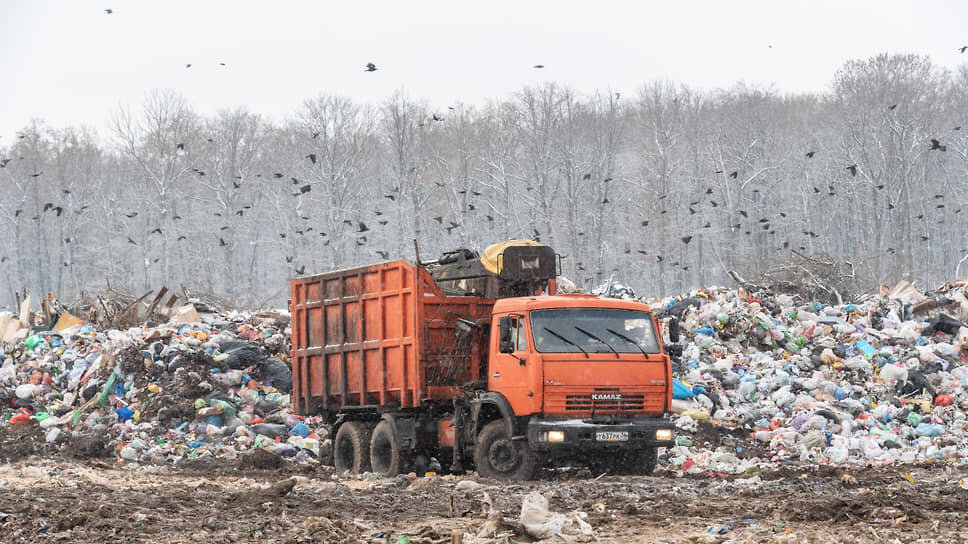 Фото: Олег Харсеев / Коммерсантъ