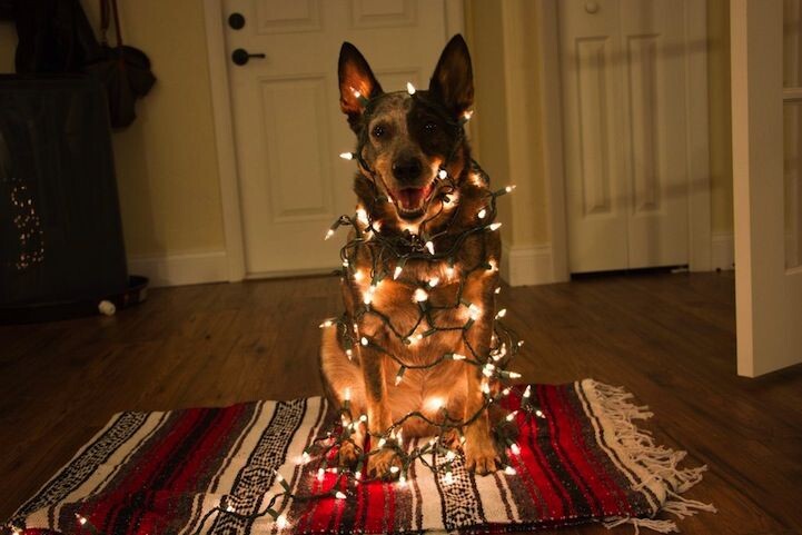 Изображение взято из открытого источника 