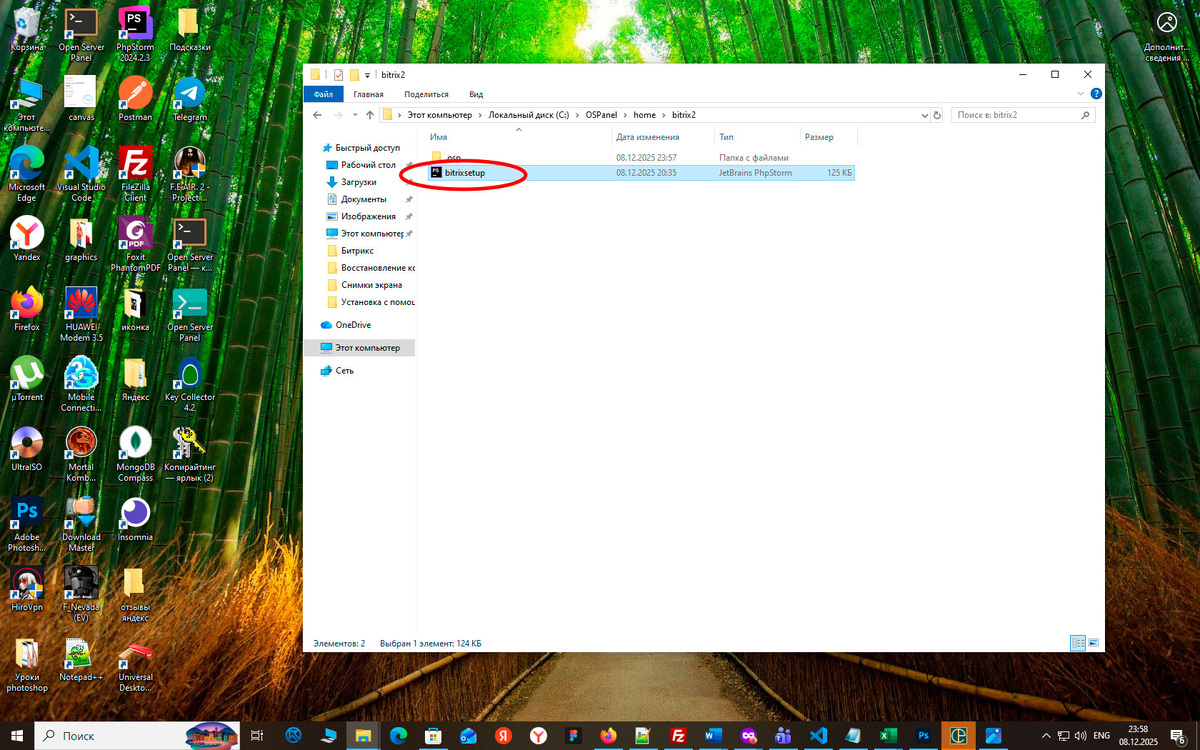 Пример загруженного файла BitrixSetup.php в локальный веб-сервер Openserver 6 для Windows